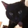 Apoc's profile picture