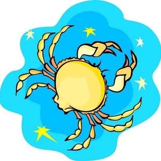 Yengeç Tutkusu 🦀's profile picture