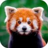 Profilbild von Mochi