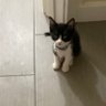 emily profil fotoğrafı