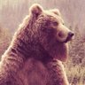 Profilbild von T
