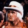 Thunderlips's profile picture