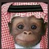 qnaaas's profile picture