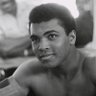 KING+KUNTA profil fotoğrafı