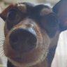 ふちとりお profil fotoğrafı