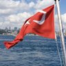 Sibel Kalay's profile picture