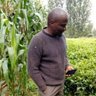 Gichimu BK🇰🇪 profil fotoğrafı