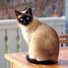 phinera's profile picture