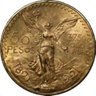 NwPlaza Coins profil fotoğrafı