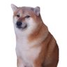 h3x profil fotoğrafı