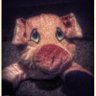 Cpt.Ham's profile picture