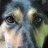 Róża's profile picture