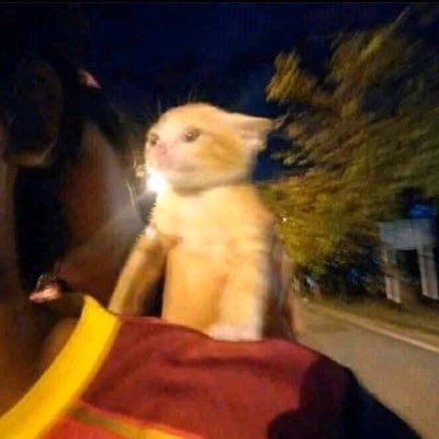 nahimdifferent's profile picture