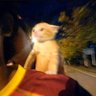 xavier's profile picture