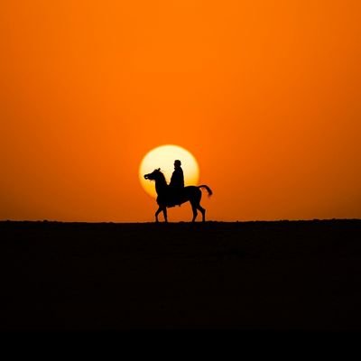 IBNJALA8607's profile picture