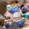 和 profil fotoğrafı