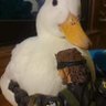 Neto's profile picture