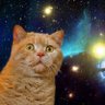 Juduehg's profile picture