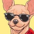 Canino Excelsior's profile picture