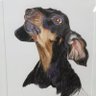 Kate Hampton's profile picture