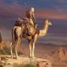 Sodiq profil fotoğrafı