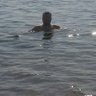 Aliandworld's profile picture