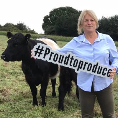 ManorFarmWotton's profile picture