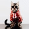 Фото профиля LAhater