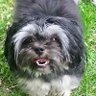 Profilbild von Steve