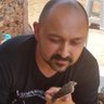 Eduardo Assunção profil fotoğrafı