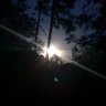 Shawn45's profile picture