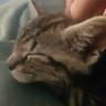 beaub's profile picture