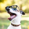 Profilbild von A Good Old Man