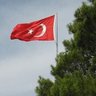 Mehmet Dayıoğlu's profile picture
