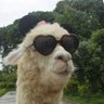 Sexualmente activo's profile picture