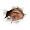 mr observer's profile picture