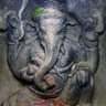 Vamsi's profile picture