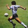 edwin flores's profile picture