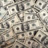 All In Sports Betting's profile picture