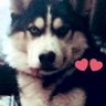 Profilbild von Amy Miller