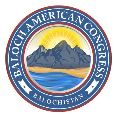 bacongress's profile picture