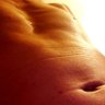 All Buttfun's profile picture