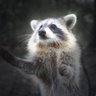 Scettico's profile picture