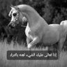 محمد حريبي profil fotoğrafı