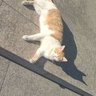 gjwgjwlalala profil fotoğrafı