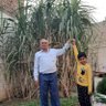 Chandram Advocate profil fotoğrafı
