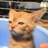 riski's profile picture
