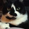 Profilbild von Breakfast-Taters