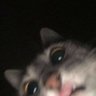 brou's profile picture