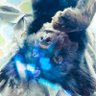 Profilbild von BeePoMom🐺🐱 : รอมนต์รัก